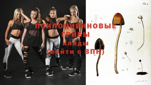 а пвп мука Армянск