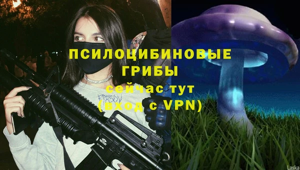 ALPHA-PVP Арсеньев