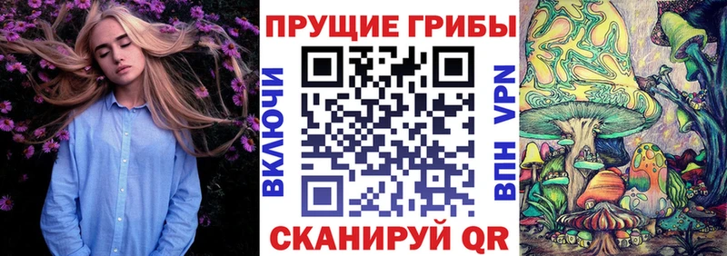 Галлюциногенные грибы Cubensis  Купить закладки  Сычёвка 